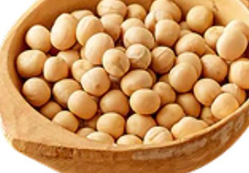 原料：黄えんどう豆