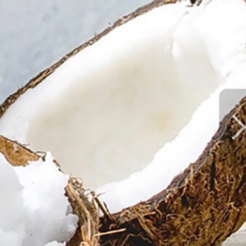 ココナッツオイル